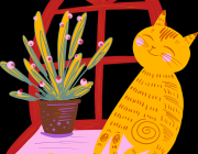 P站中文版——跨界合作用户访谈案例复盘